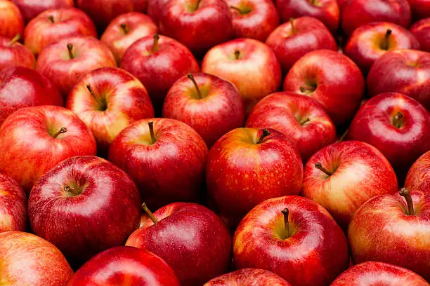 calorie appel